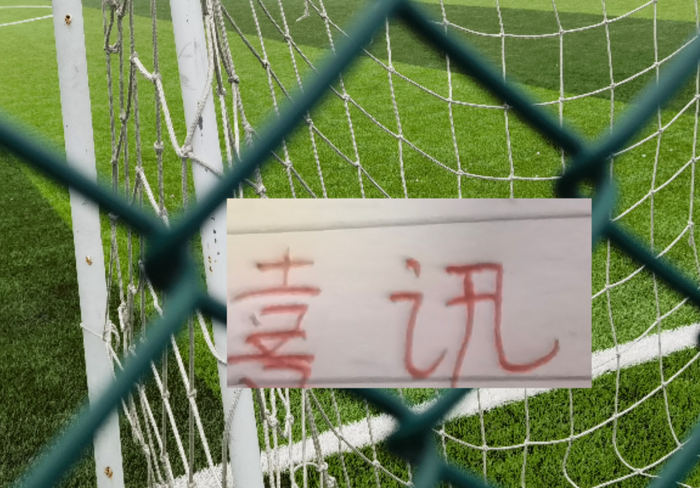 浙江外援米特里策遭双重处罚停赛4场 球队面临关